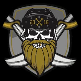 Team logo
