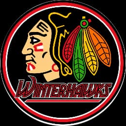 Team logo