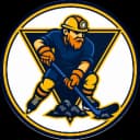 Goal Diggers logo