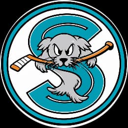 Team logo