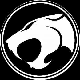 Team logo
