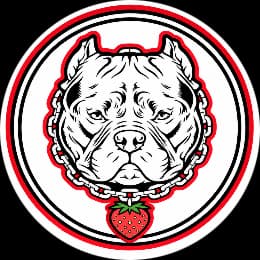 Pitbulls logo