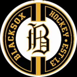 Blacksox logo