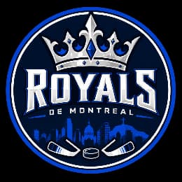 Team logo