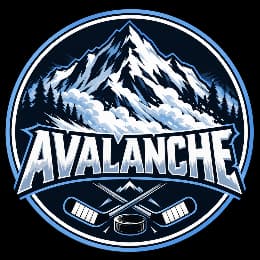 Team logo